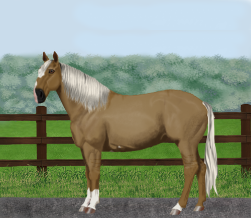 horse image