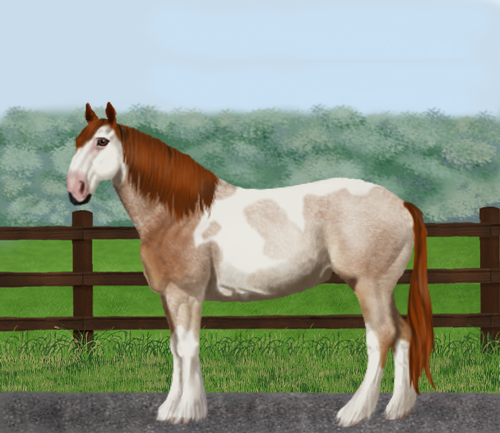 horse image