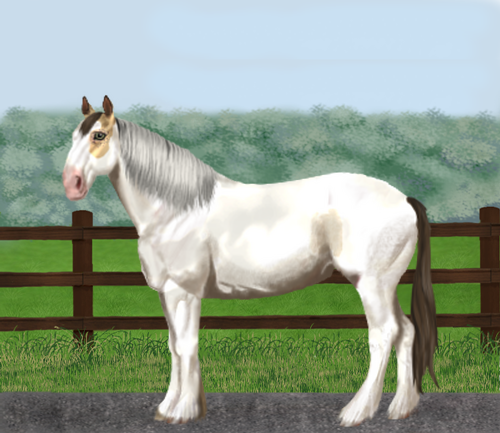 horse image