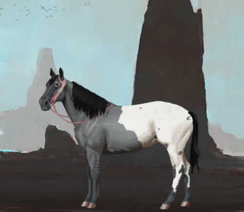 horse image