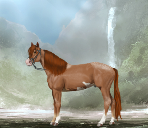 horse image