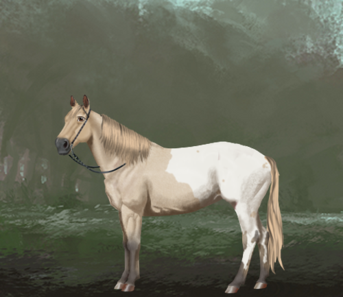 horse image