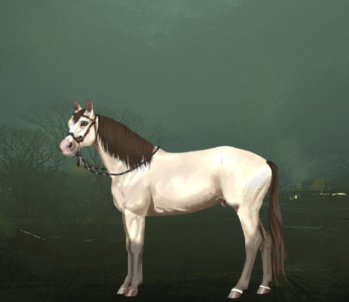 horse image