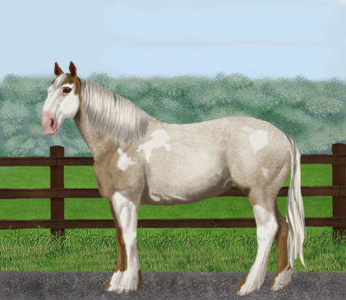 horse image