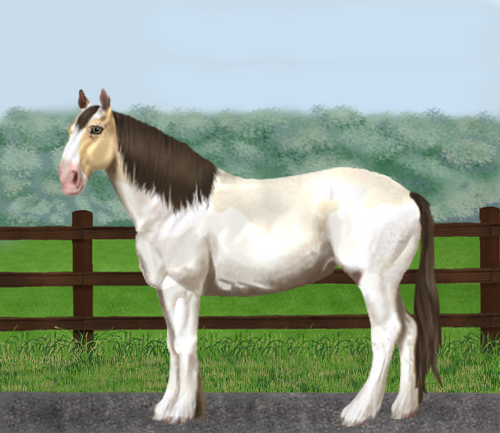 horse image