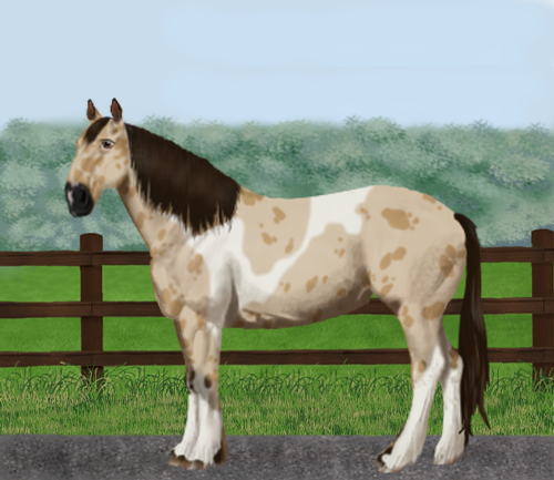 horse image