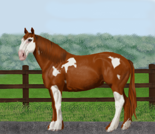 horse image