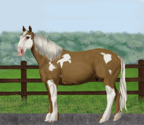 horse image