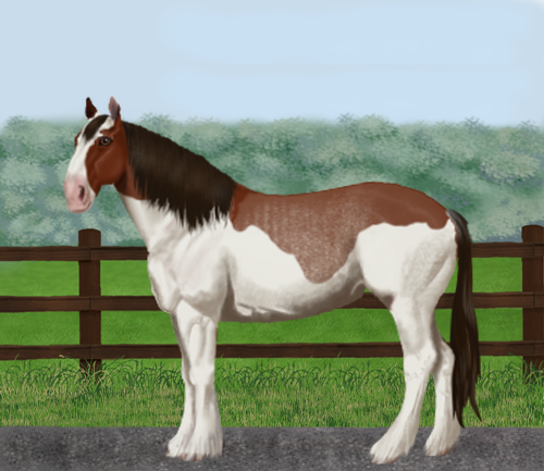 horse image