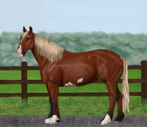 horse image