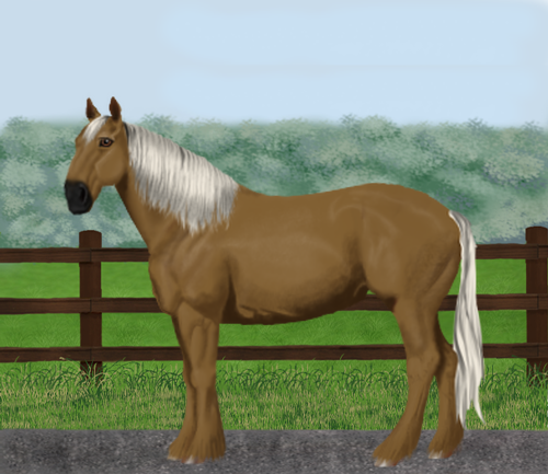 horse image