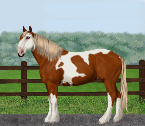 horse image