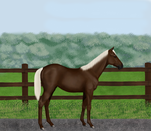 horse image