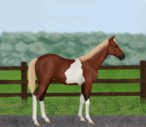 horse image