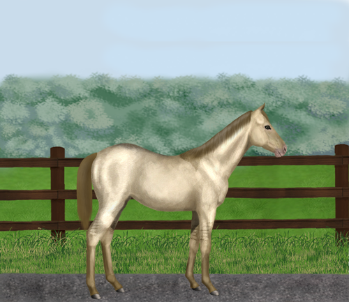 horse image