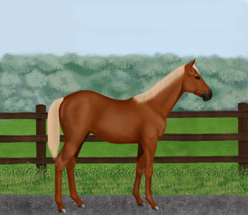 horse image