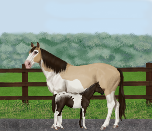 horse image