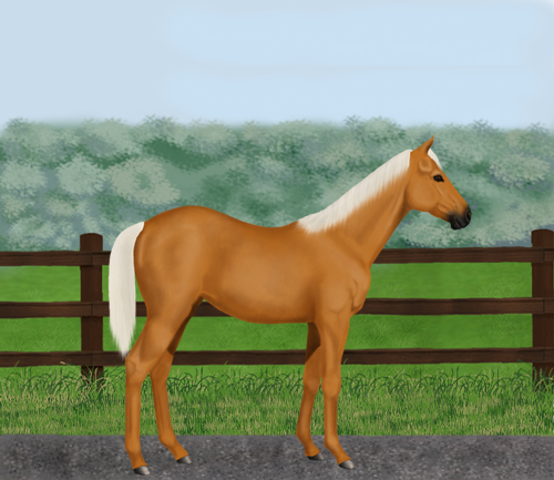 horse image