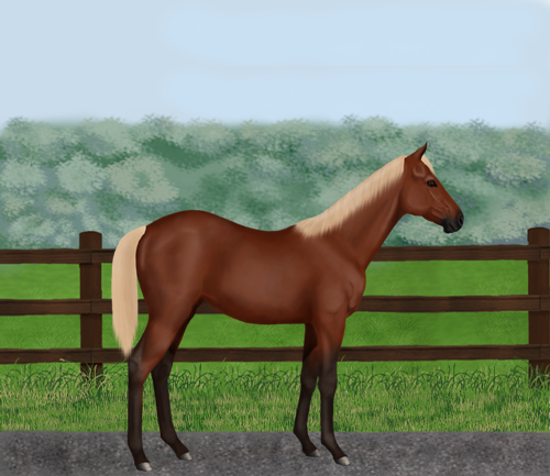 horse image