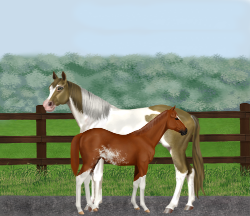 horse image