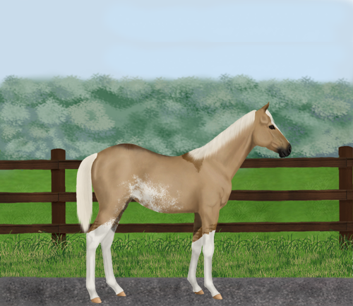 horse image