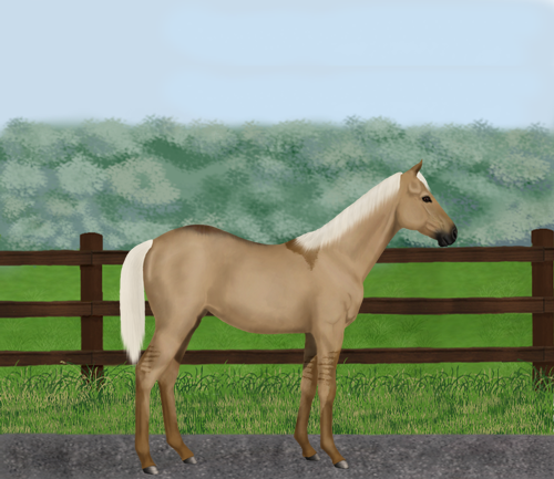 horse image