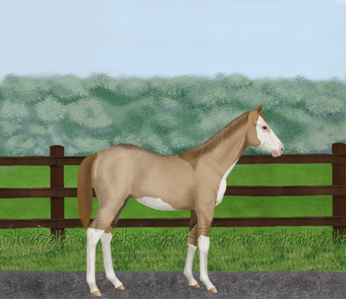 horse image