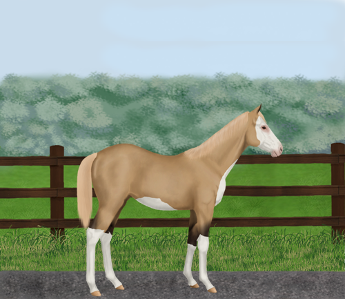 horse image