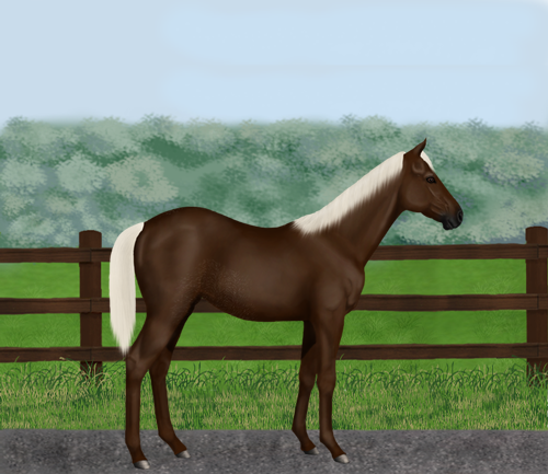 horse image