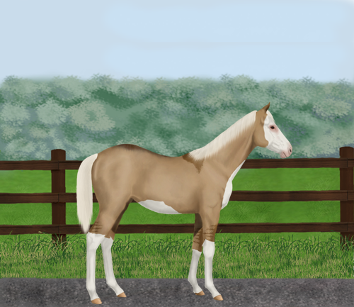 horse image