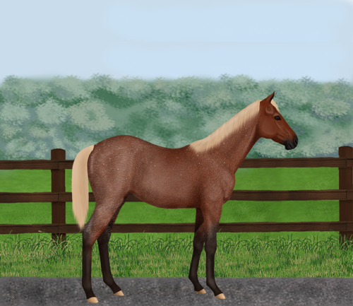 horse image