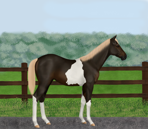 horse image