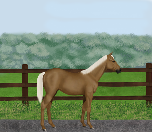 horse image