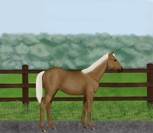 horse image