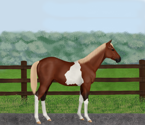 horse image