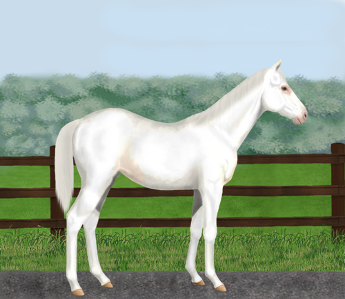 horse image